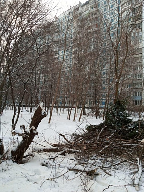 Во дворе жилого дома второй месяц горят костры